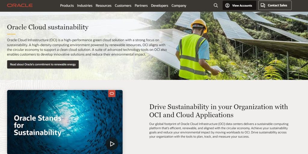 Oracle Web Hosting Review