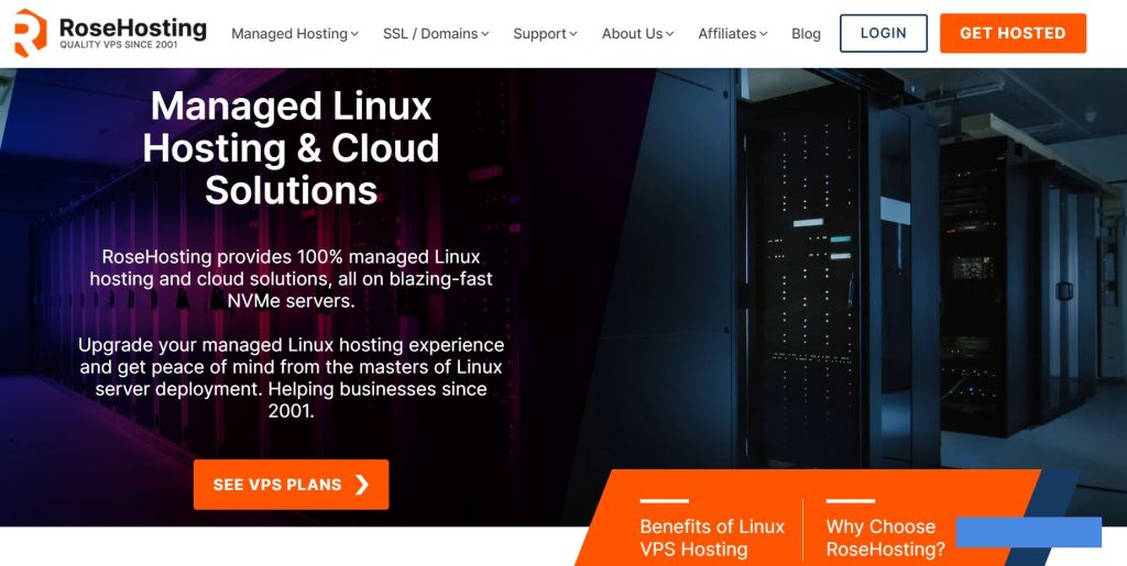RoseHosting Review