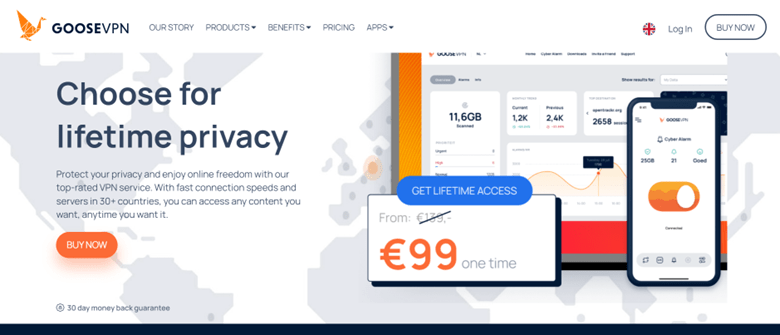 Goose VPN Review 